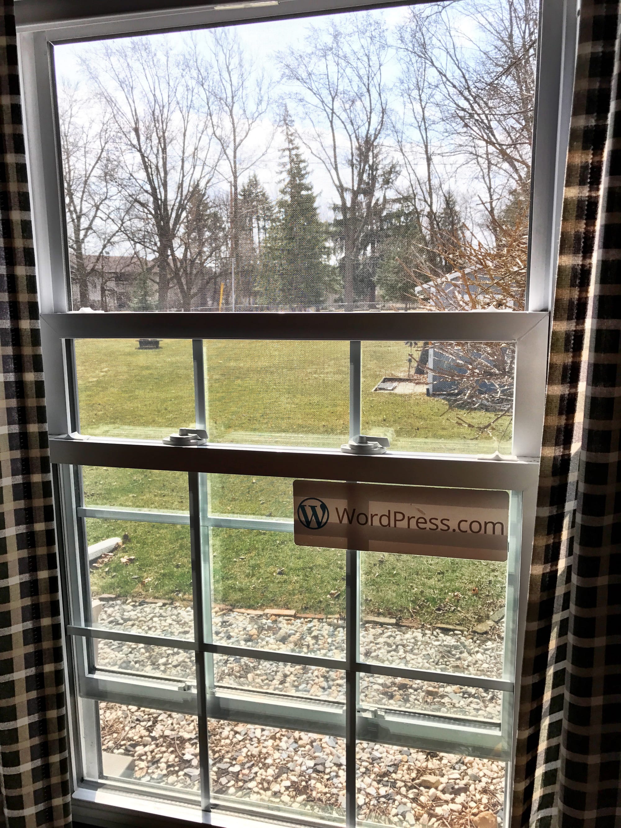 A photo of my open office window with a sunny yard